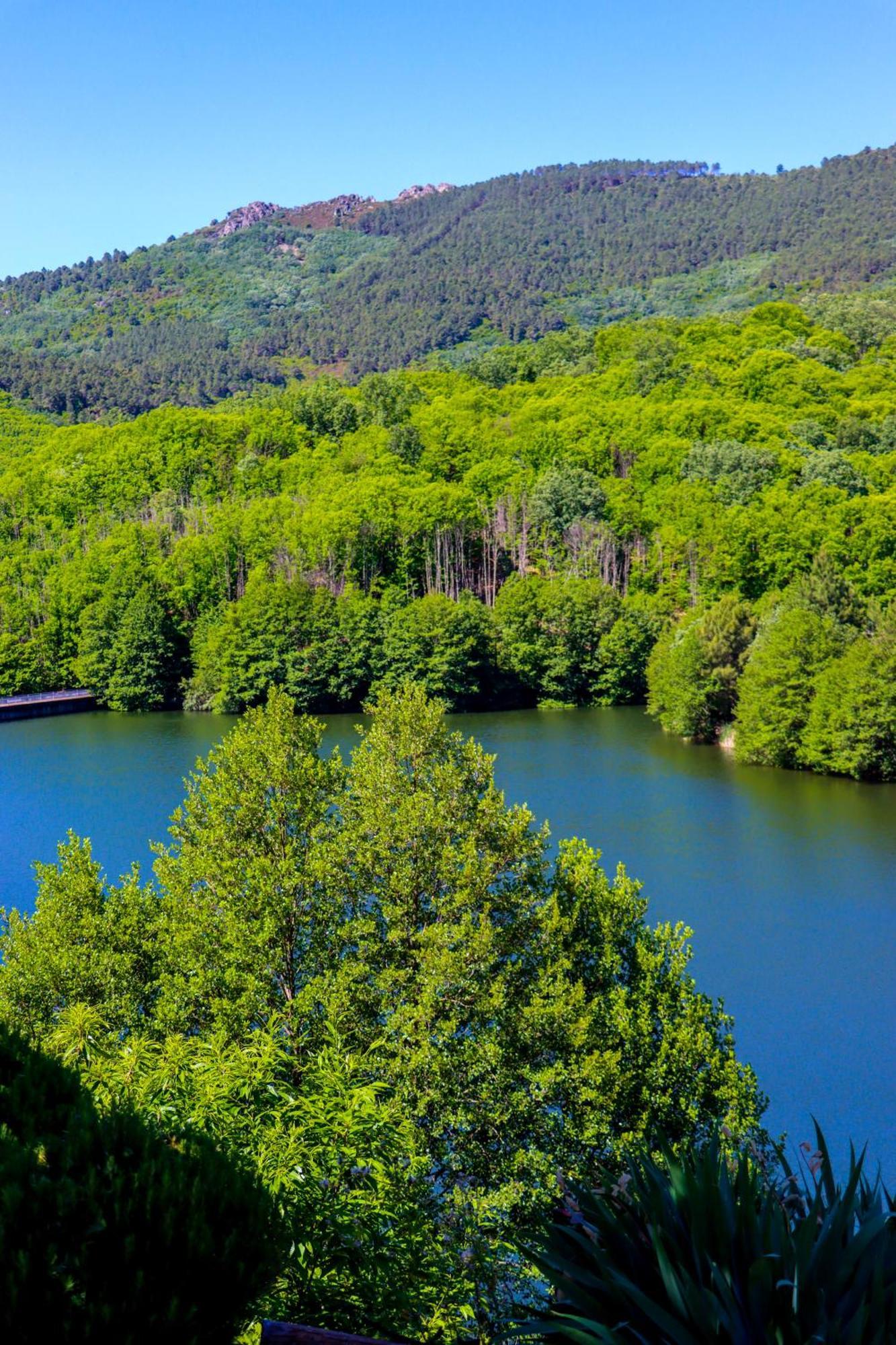 El Patio De Los Naranjos Guadalupe  Exteriör bild